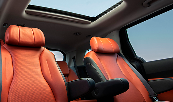 Фото Комфорт kia Carnival